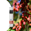 Crema esfoliante glicolico 5% / jaluronico e bacche di goji