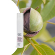 Crema idratante anti età / vitamina A e burro di karitè