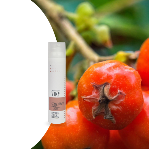 Concentrato anti cell / caffeina e guaranà