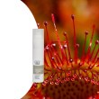 Concentrato lipolitico / drosera e fucus