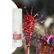 Soluzione rimodellante / drosera e hotflux